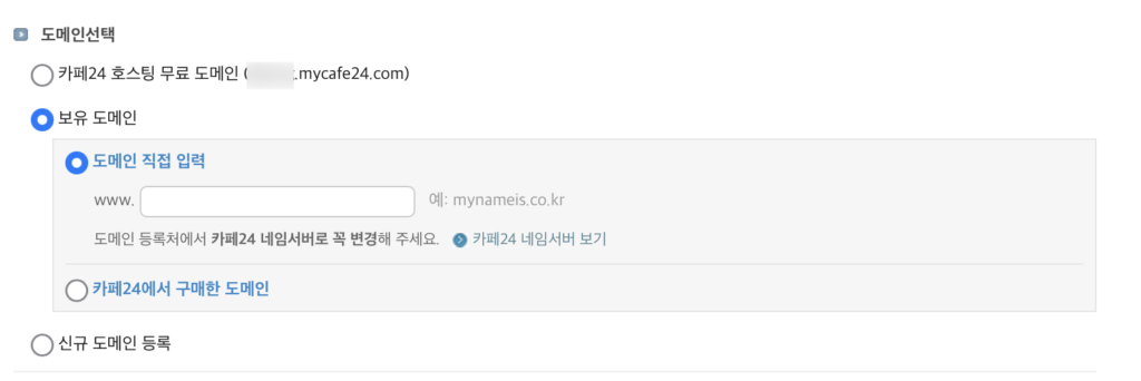 도메인을 직접 입력하는 화면입니다. 무료 도메인 설정도 가능합니다.